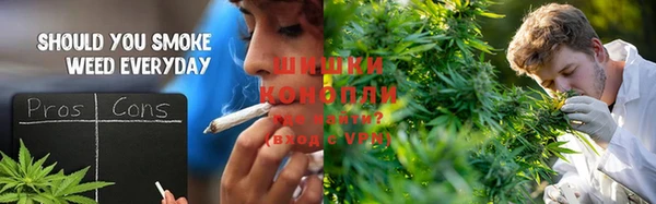 спайс Магас