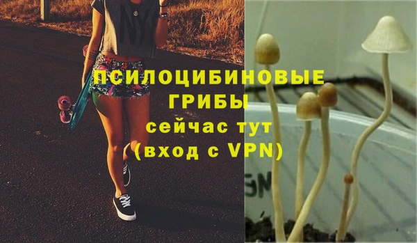 мяу мяу мука Мегион