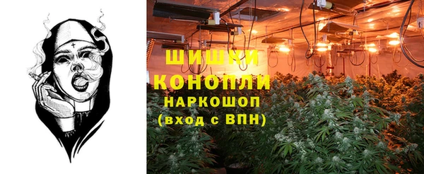 мяу мяу мука Мегион