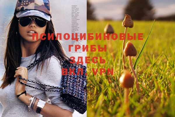 хмурый Медвежьегорск