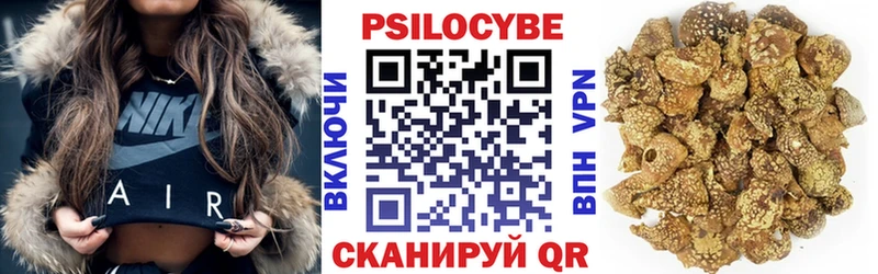 Псилоцибиновые грибы прущие грибы где купить наркотик Озёры