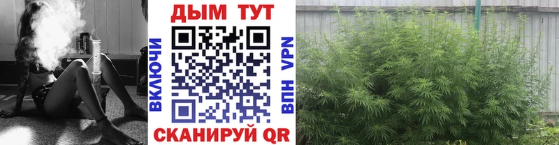 как найти закладки  Озёры  МАРИХУАНА Bruce Banner 